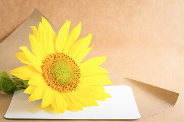 Background with sunflower flower on craft paper