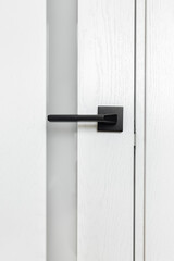 Close-up vertical image of modern white door with anthracite door handle.