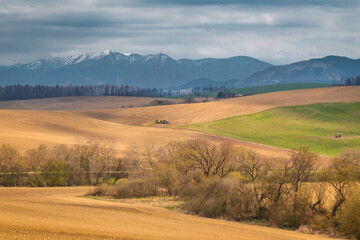 Obraz premium Rural spring landscape, agricultural fields with mountains on background.