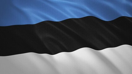 Estonia . Waving Flag Video Background
