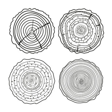 Tree rings. Mandala. Objects for design. Set of tree rings on isolation background. Conceptual graphics. Line art. Decorative style. Outline for polygraphy, printing, posters and other