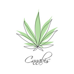 Green Cannabis leaf sign logo Illustration on white