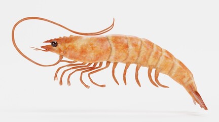 Realistic 3D Render of Shrimp