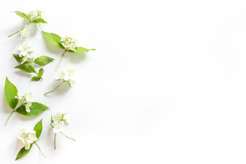 White jasmine flowers with green leaves flat lay