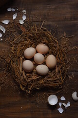 chicken eggs in the nest with dark background