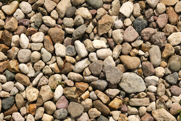 pebbles in the garden : a natural stones background texture