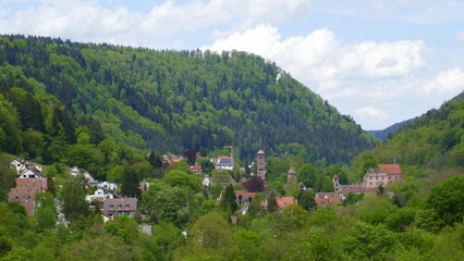 Fototapeta na wymiar Panoramablick auf das ehemalige Kloster Hirsau