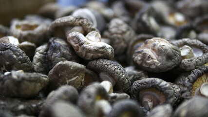 Selective focused dried shiitake mushrooms in market, food background concept.