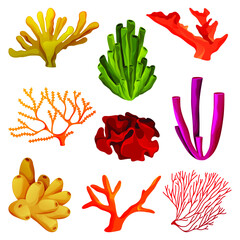 Corals or coral reef elements, underwater wildlife. Tropical coral polyps icons for summer card or banner decoration. Colorful marine objects. Sea or ocean plants, water ecosystem.