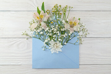 Blue envelope with small white daisies and gypsophila.Mockup  in envelope on blue background top view in flat lay style.
