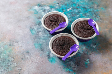 Delicious chocolate souffle with strawberries.