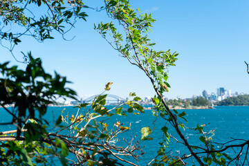 View of Sydney City with harbour bridge with water in front