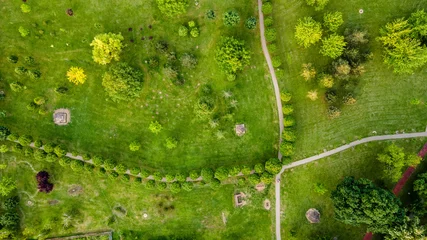 Photo sur Aluminium Herbe Top view aerial photo from flying drone of a city park with walking path and green zone trees in evening time. Urban park with meadow, trees and paths.