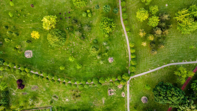 Top view aerial photo from flying drone of a city park with walking path and green zone trees in evening time. Urban park with meadow, trees and paths.
