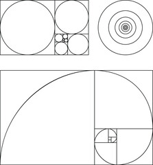 Golden Ratio vector. Fibonacci number. Circles in golden proportion isolated on white background