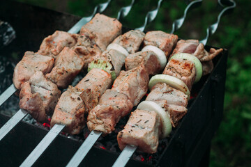 meat on the barbecue