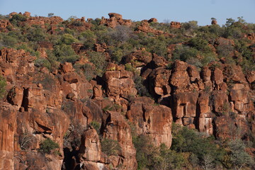 Waterberg plateau park. Reserve for endangered species. Landscape.