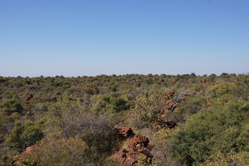 Waterberg plateau park. Reserve for endangered species. Landscape.