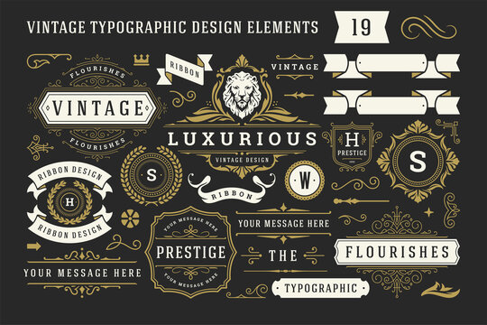 Vintage typographic decorative ornament design elements set vector illustration