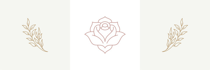 Rose tender natural blossom and twigs with blooming flower in boho linear style vector illustrations set © provectors