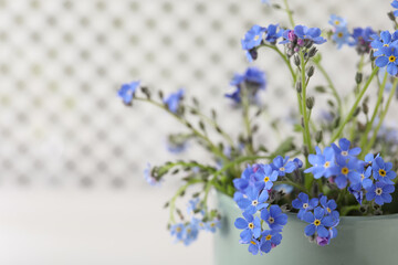 Fototapeta premium Beautiful blue forget-me-not flowers in cup against blurred background, closeup. Space for text