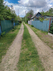 Street in the village. Belarus, wooden houses, dirt road, nature. A village, a country cottage, where I grow vegetables and fruits, they have a rest in the summer.