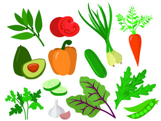 Vector image of a set of vegetables and herbs