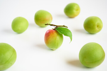 日本の梅の実を白バックで