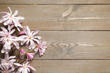 Fototapeta na wymiar Magnolia tree branches with beautiful flowers on wooden table, flat lay. Space for text