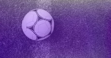 Foto op Plexiglas Composition of football on white line on grass pitch with copy space and purple tint © vectorfusionart