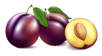 Two whole ripe plums fruit with half with stone and leaves isolated on white background. 3D Realistic vector illustration.