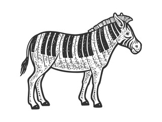 zebra piano line art sketch raster illustration