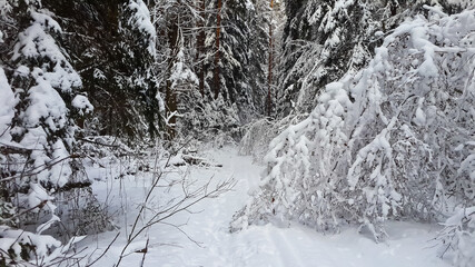 snow-covered village among snow-covered forest close-up 