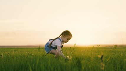 Active games for children in nature. Happy child, girl go on green grass in park, collects flowers on field, Kid smiles. Childhood dream. My daughter is having fun outdoors. Happy family, childhood