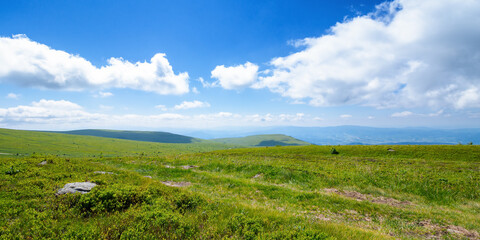 meadow on the mountain plateau. beautiful summer landscape on a sunny day. clouds on the sky above the distant ridge