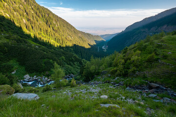 Obraz premium balea stream of fagaras mountains. wonderful summer scenery in the morning. popular travel destination of romania