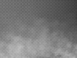 Fog or smoke isolated transparent special effect. White vector cloudiness, mist or smog background. Vector illustration