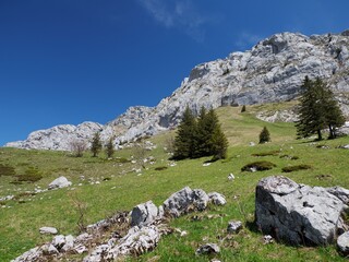 falaises en Vercors