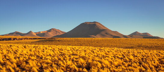 Panoramic image of a landscape with volcanoes on the Chile Bolivia border in the vicinity of San...