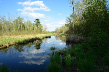 Itasca State Park 