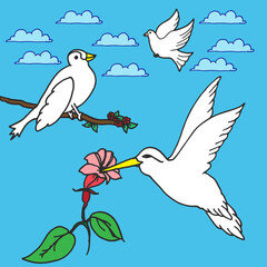 beautiful birds on blue background. three white birds on blue sky. hand drawn vector. dove and colibri illustrations. doodle art for kids, wallpaper, poster, cover, scrapbook, comic, clipart, sticker.