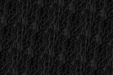 wood bark pattern texture backdrop