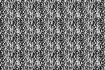 wood bark pattern texture backdrop