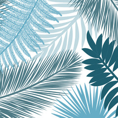palm leaves background