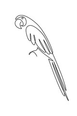 Parrot bird in continuous line art drawing style. Macaw parrot sitting minimalist black linear sketch isolated on white background. Vector illustration © GarkushaArt