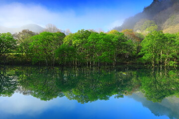 Fototapeta premium 岩手県西和賀町 新緑の錦秋湖