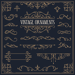 Vector vintage decorative elements - borders, vignettes, flourishes, frame.