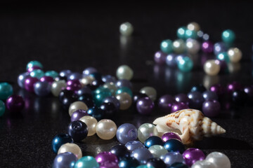 beads and seashell on a black background