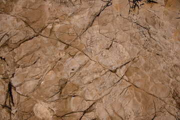 Close-up of brown stone relief with amazing erosion textures and patterns on it