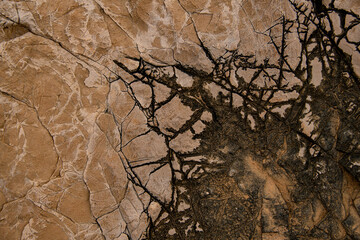 texture of old stone with beautiful pattern of cracks on the surface.